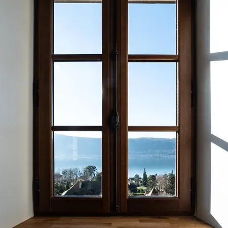 Le Duplex Du Apartment Veyrier-du-Lac