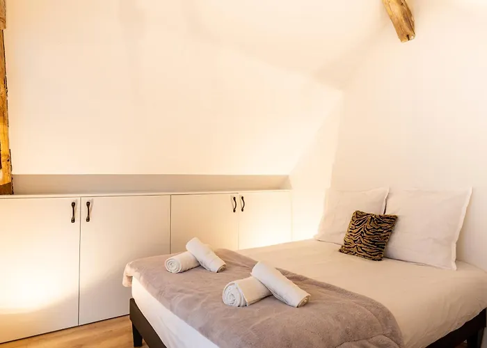 Appartement Le Duplex Du
