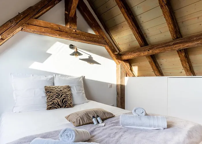 Le Duplex Du Appartement *
